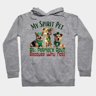 St. Patrick's Day?: Because why not! Hoodie